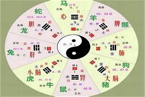 姍 五行|珊字的五行属性